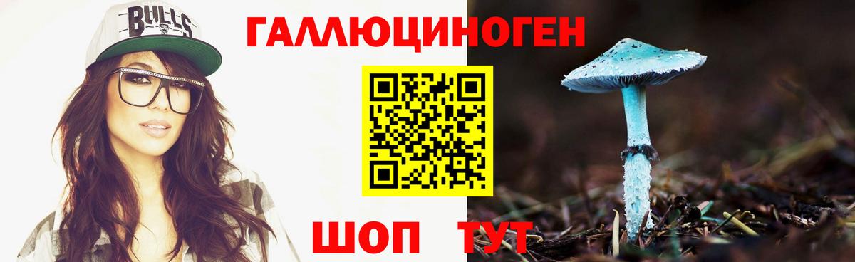 Галлюциногенные грибы GOLDEN TEACHER Гудермес
